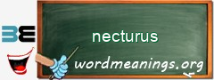 WordMeaning blackboard for necturus